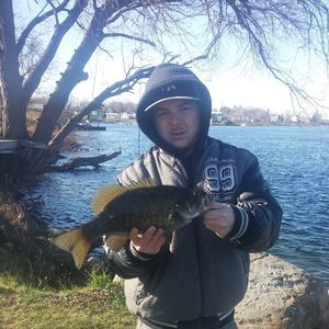 Meet your Posher, Corey